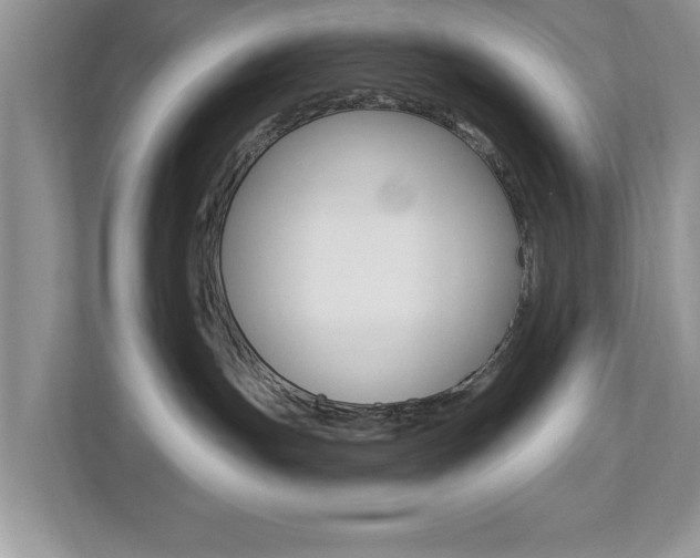 X0000112540191200908171213