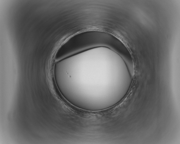 X0000112540193200908171213