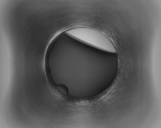 X0000112540196200908171213