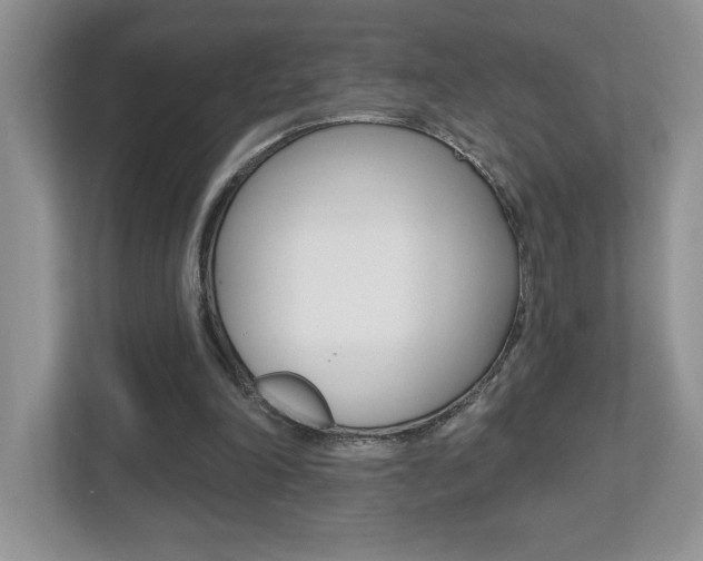 X0000112540198200908171213