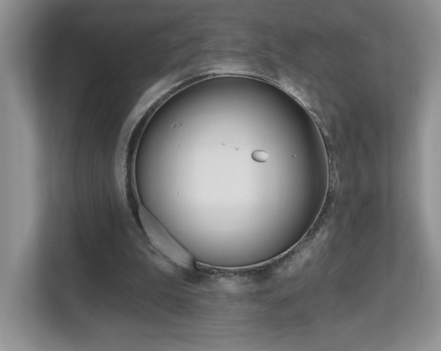X0000112540199200908171213