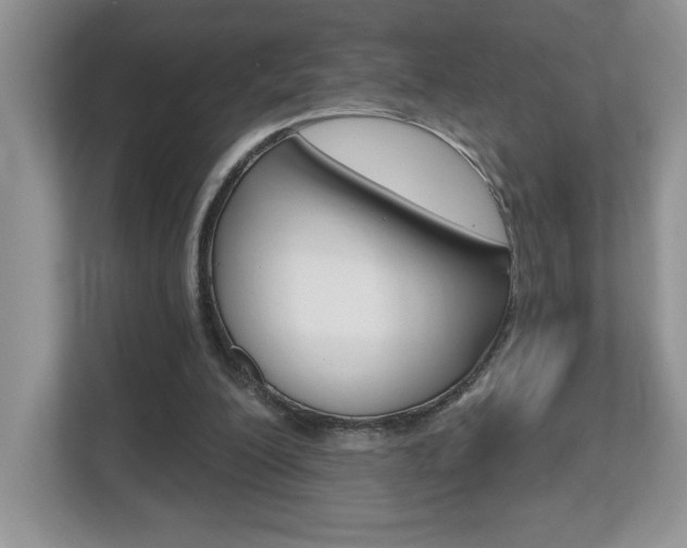 X0000112540200200908171213