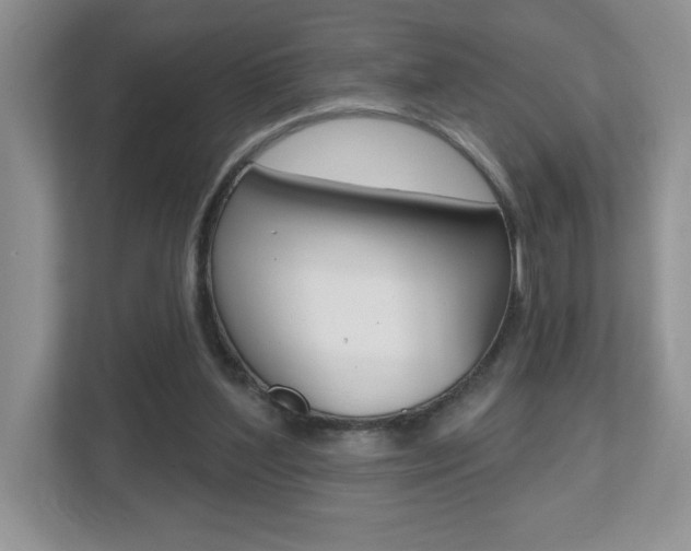 X0000112540204200908171213