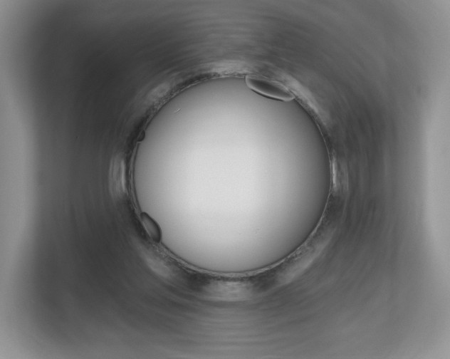 X0000112540205200908171213