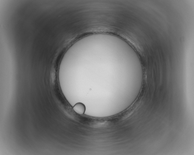 X0000112540206200908171213