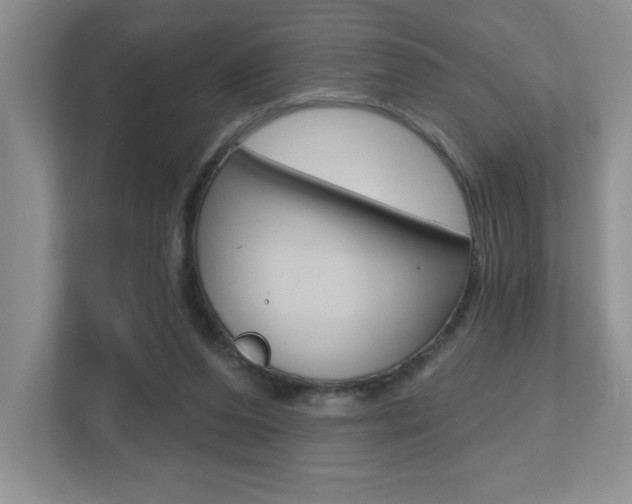 X0000112540208200908171213