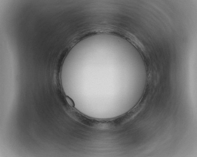 X0000112540209200908171213