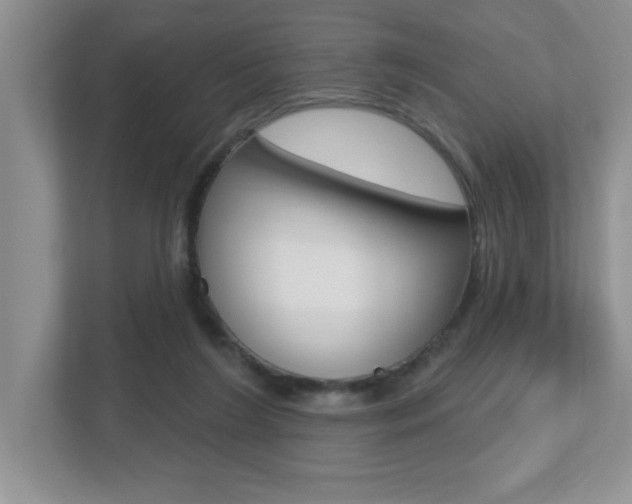 X0000112540212200908171213