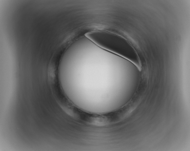 X0000112540215200908171213