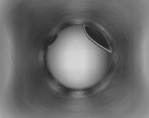X0000112540217200908171213