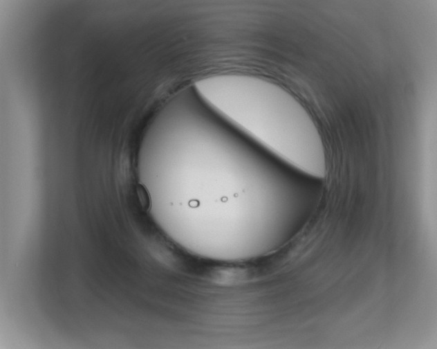 X0000112540220200908171213