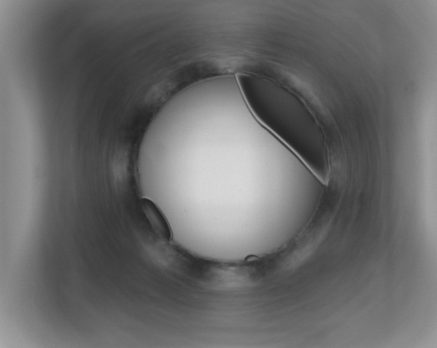 X0000112540221200908171213