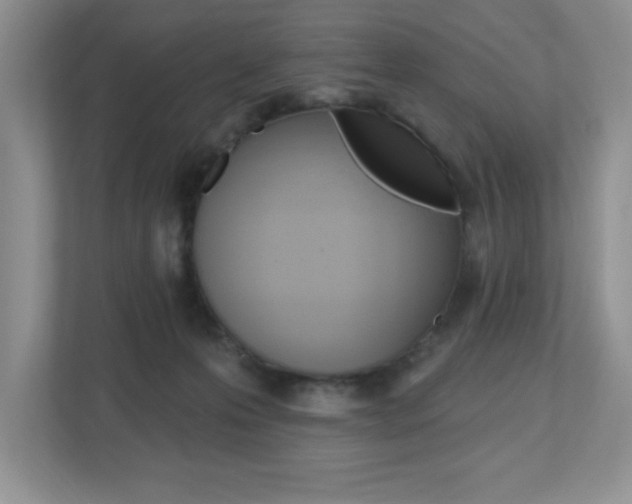 X0000112540223200908171212