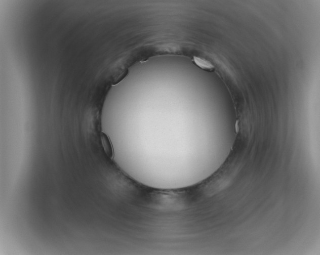 X0000112540229200908171212