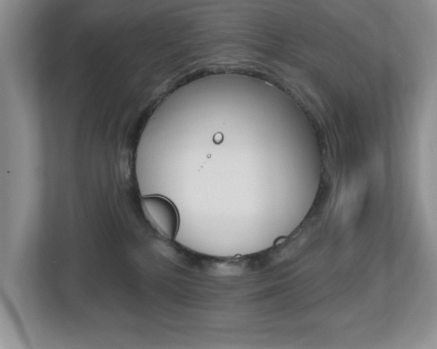 X0000112540232200908171212