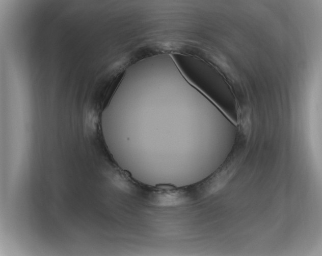 X0000112540235200908171212
