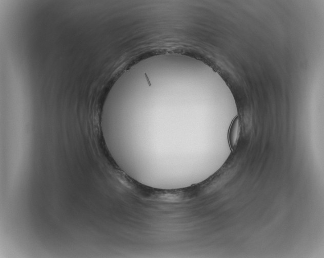 X0000112540236200908171212