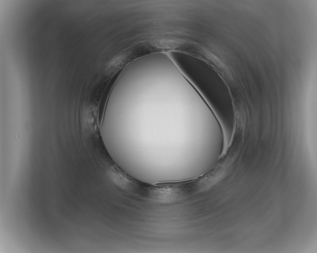 X0000112540237200908171212