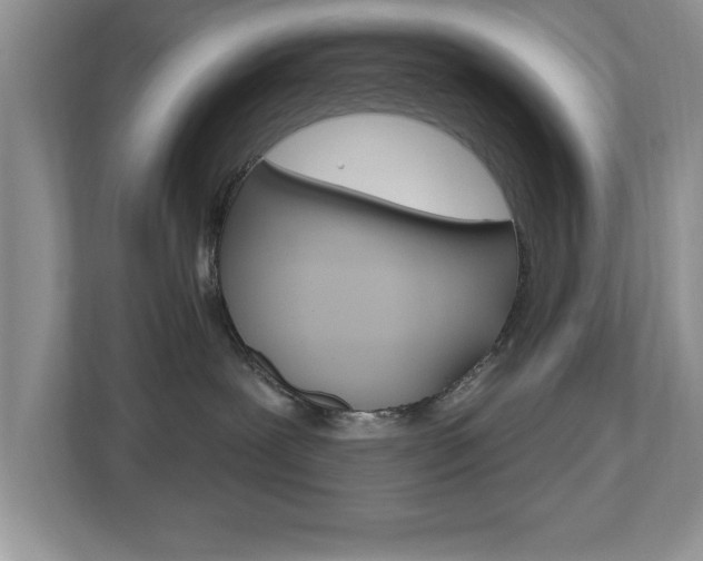 X0000112540239200908171212