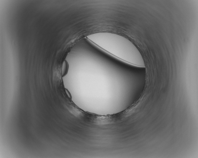 X0000112540240200908171212