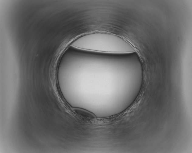 X0000112540241200908171212