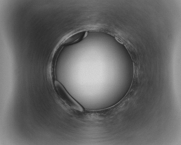 X0000112540244200908171212