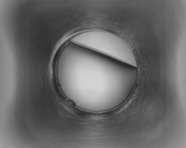 X0000112540246200908171212