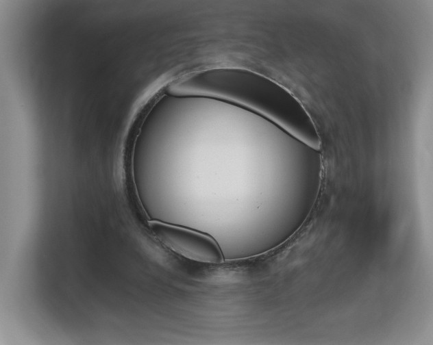 X0000112540248200908171212