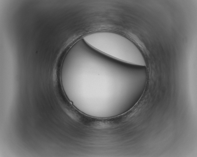 X0000112540250200908171212