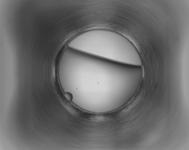 X0000112540253200908171212