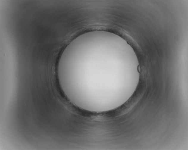 X0000112540259200908171212