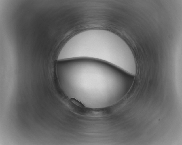 X0000112540260200908171212
