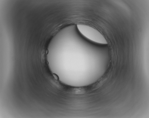 X0000112540275200908171212
