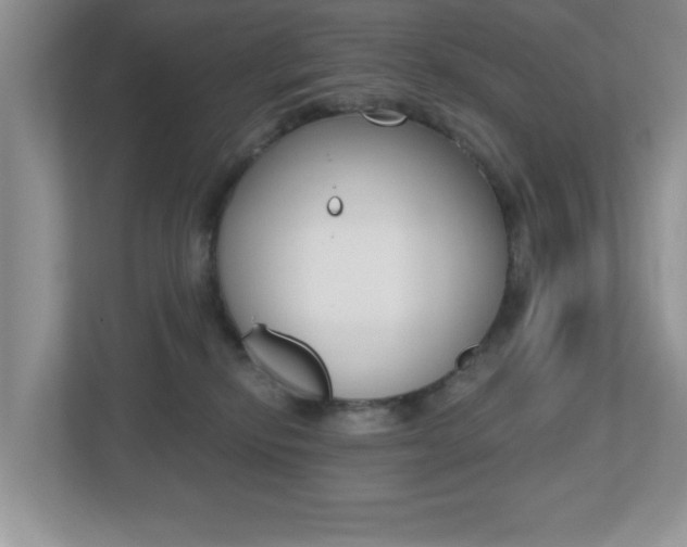 X0000112540278200908171212