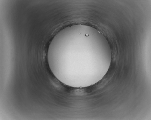 X0000112540279200908171212