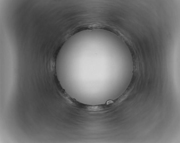 X0000112540281200908171212