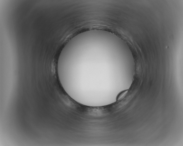 X0000112540282200908171212