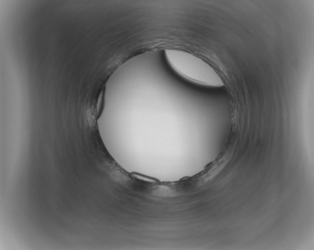 X0000112540285200908171212