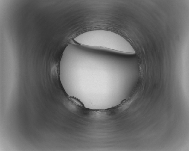 X0000112540286200908171212