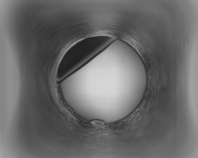 X0000112540289200908171212
