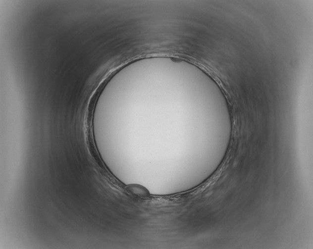 X0000112540290200908171212