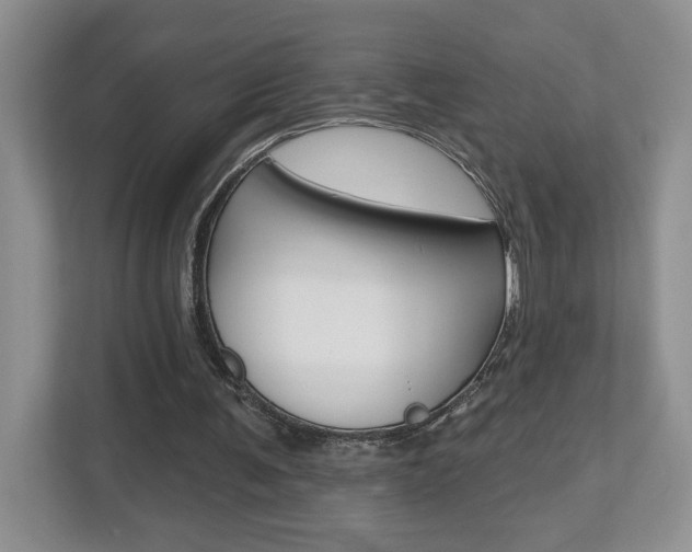 X0000112540291200908171212