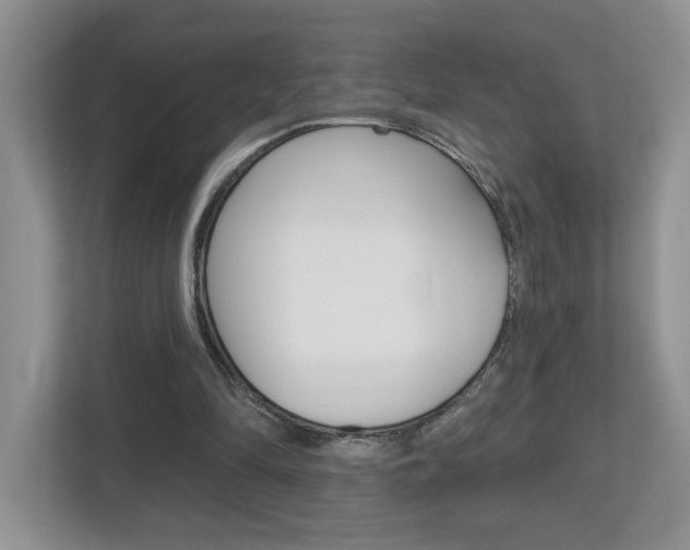 X0000112540294200908171212