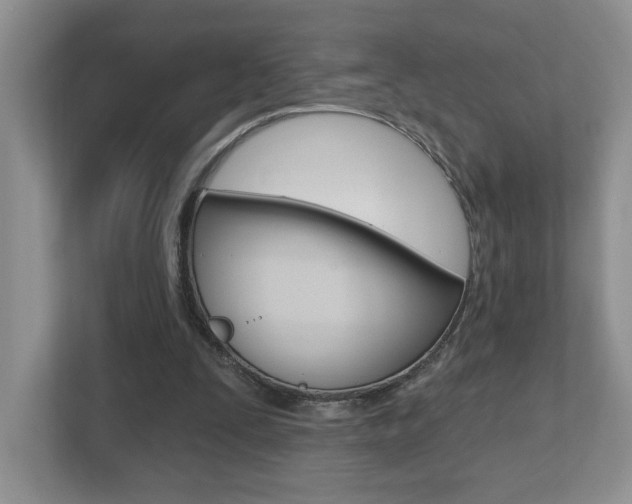 X0000112540295200908171212