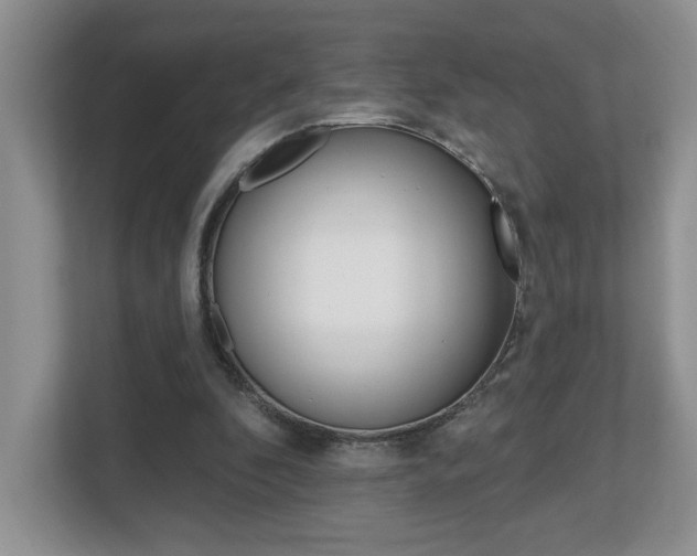 X0000112540296200908171212