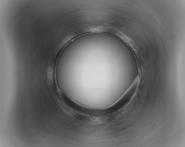 X0000112540297200908171211