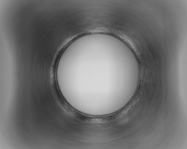X0000112540298200908171211