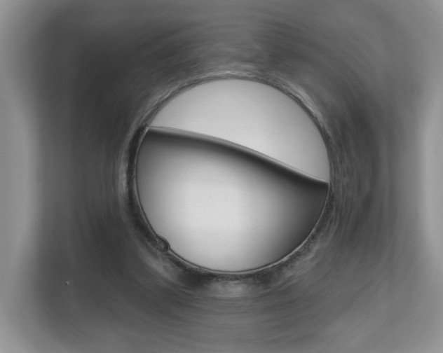 X0000112540299200908171211