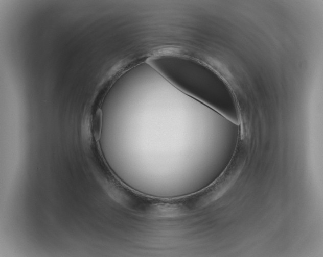X0000112540300200908171211