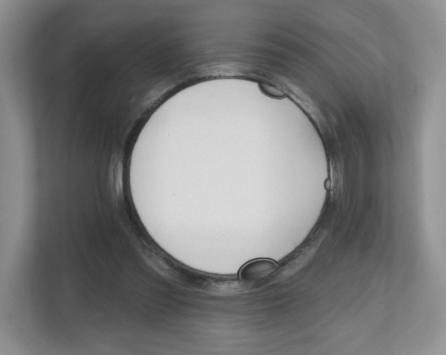X0000112540301200908171211